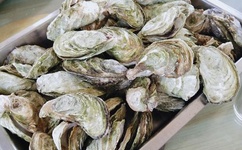 19岁RAPPER潮水免费